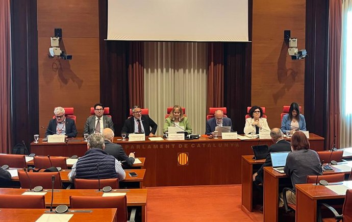 El conseller d'Empresa i Treball de la Generalitat, Miquel Sàmper, davant la comissió