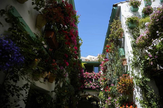 Imagen de uno de los espacios que concursa en la Fiesta de los Patios de Córdoba. A 5 de mayo de 2026 en Córdoba (Andalucía, España).
