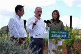 Foto: Bendodo dice que Moreno ha sacado a Ronda (Málaga) del aislamiento con 55 millones en inversiones e infraestructuras
