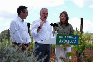 El vicesecretario de Política Autonómica, Local y Análisis Electoral del PP, Elías Bendodo, junto al candidato Dani Castilla y la alcaldesa de Ronda, Maripaz Fernández.