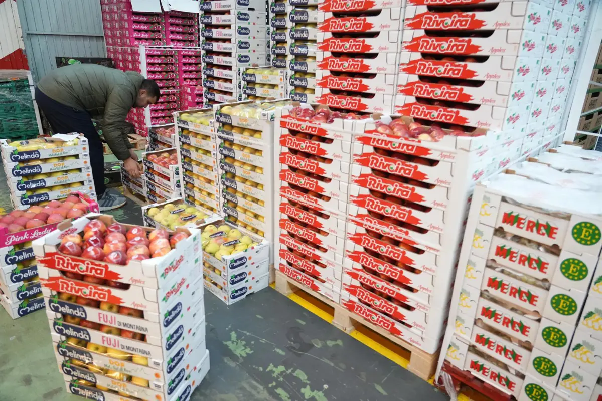 Varias cajas de frutas