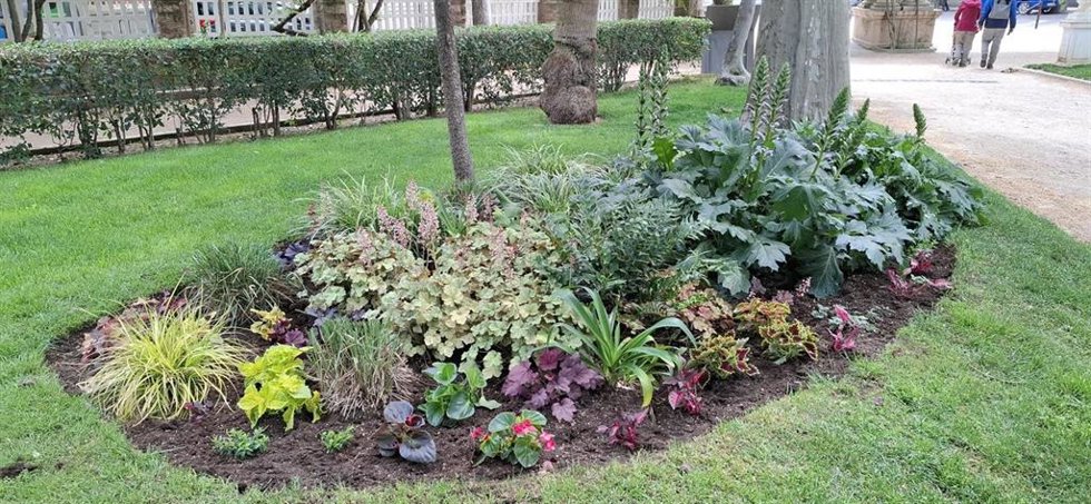 Una de las plantaciones en la ciudad de Huesca.