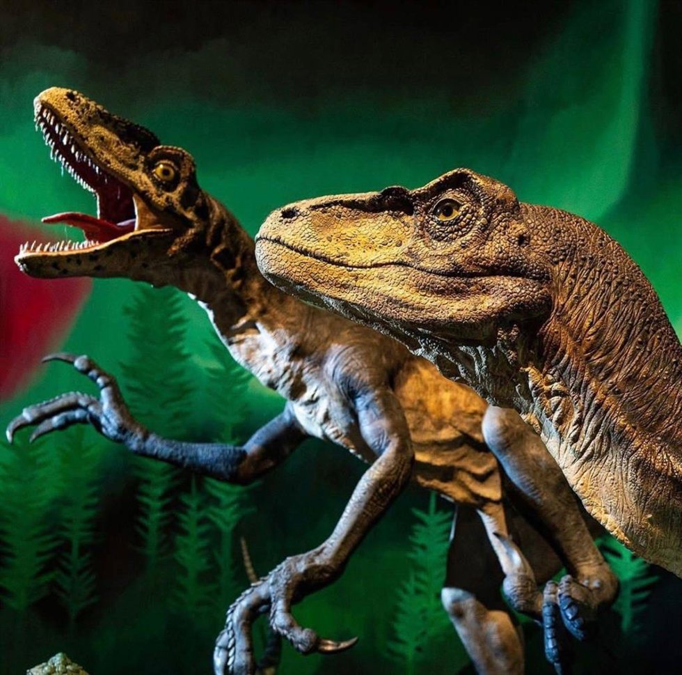 Dino Expo XXL en intu Xanadú