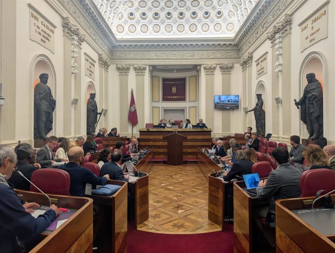 Pleno de la Juntas alavesas
