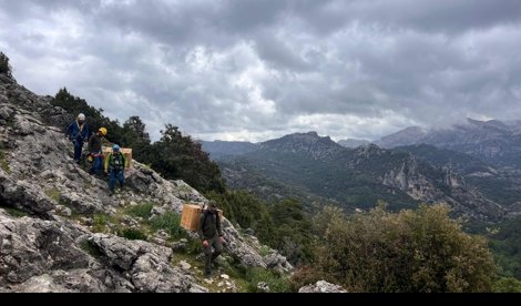 Es Andalucía - Jaén
