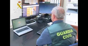 Desmantellen una plantació de marihuana amb més d'1.000 plantes a L'Olleria
