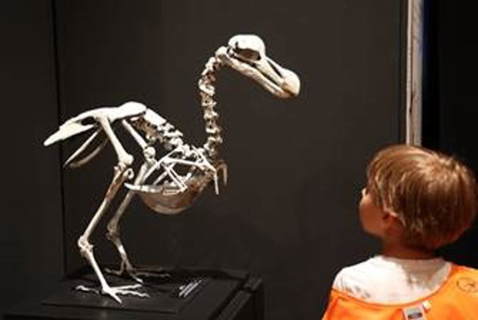 Participante de la edición de 2025 contemplando un esqueleto.
