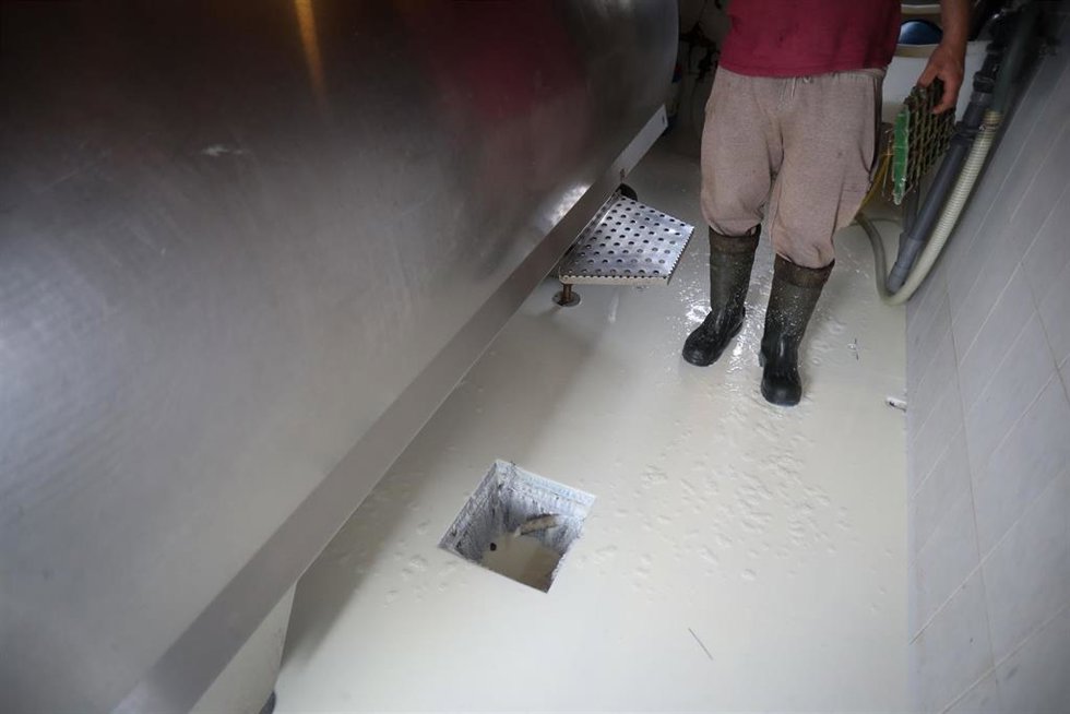 Archivo - Un ganadero de A Silveira vacía su tanque de leche, a 7 de abril de 2026, en Ribadeo, Lugo, Galicia (España). Desde el 1 de abril, dos de esas cuatro granjas se ven obligadas a tirar la leche a falta de otra industria que se la compre; llevan va