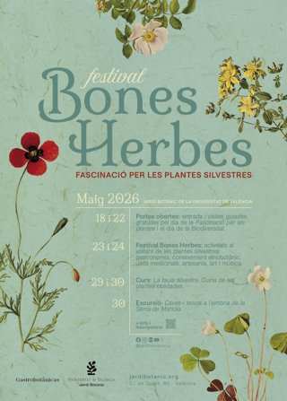 Festival Bones Herbes