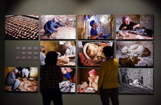 Día y la Noche de los Museos