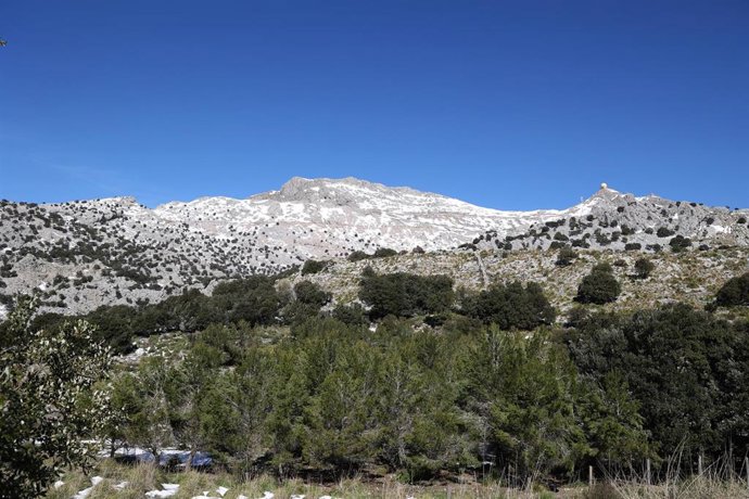 Archivo - Nieve en la Serra de Tramuntana, a 10 de marzo de 2023, en Sóller, Mallorca, Baleares (España).