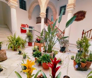 Patio del Palacio de Araníbar en El Puerto de Santa María (Cádiz)