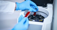 Investigación