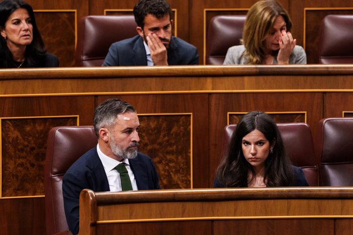 El presidente de Vox, Santiago Abascal, y la portavoz de Vox en el Congreso, Pepa Millán, durante una sesión plenaria en el Congreso
