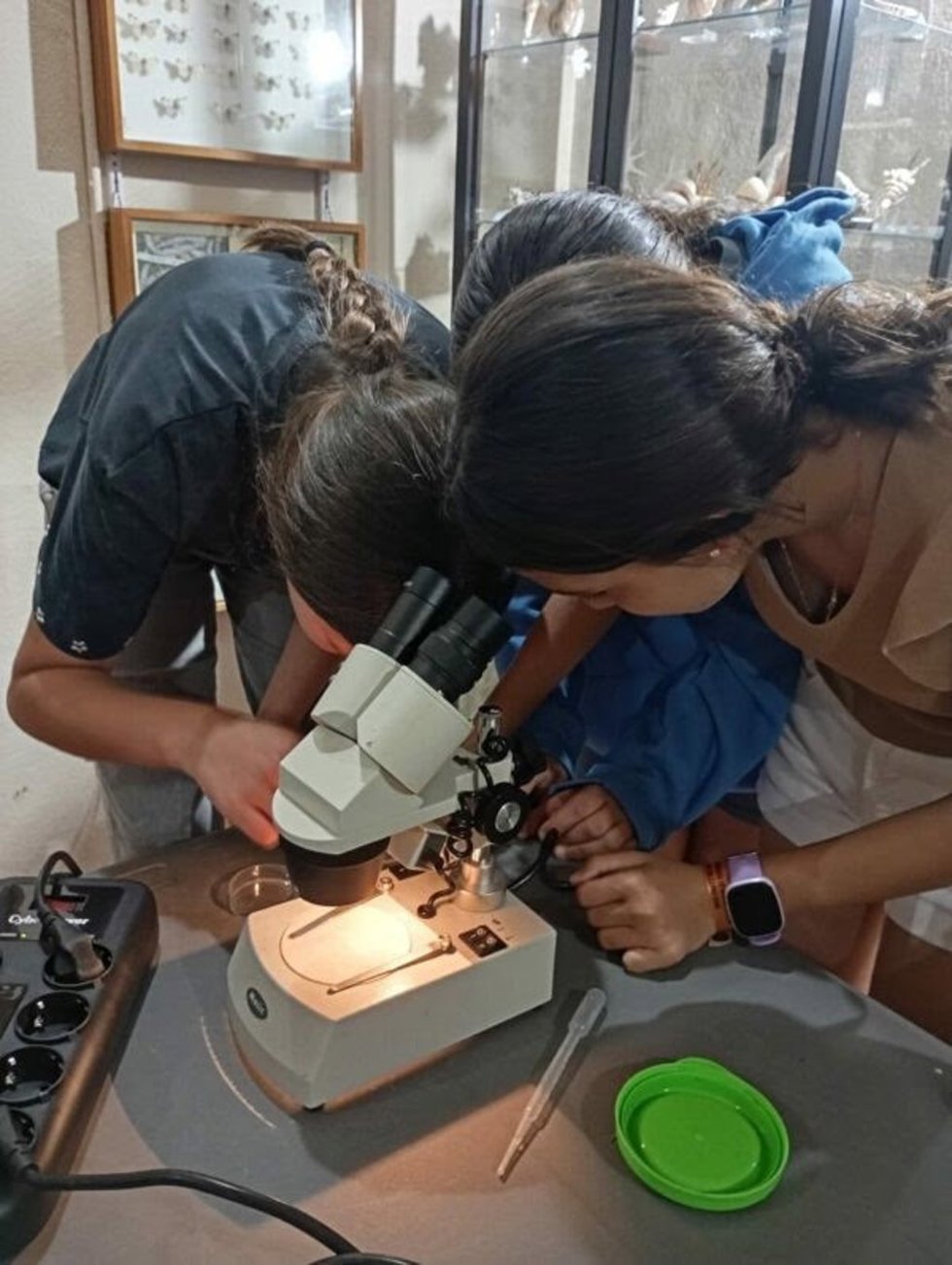 'Ciencia Al Fresquito' Propone Más De Medio Centenar De Actividades Para El Verano En Andalucía.