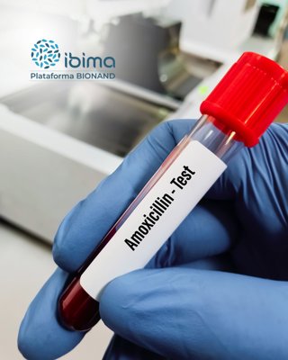 Investigadores detectan la alergia a la amoxicilina de forma más precisa y sin riesgo mediante nanotecnología