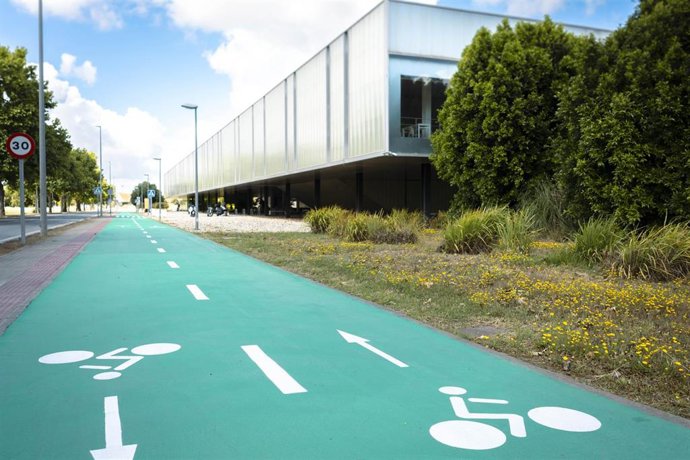 Imagen del carril bici renovado en el Campus de la UPO.