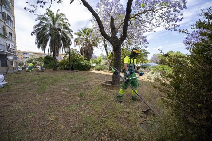 Servicio de jardinería en Mairena (Sevilla)