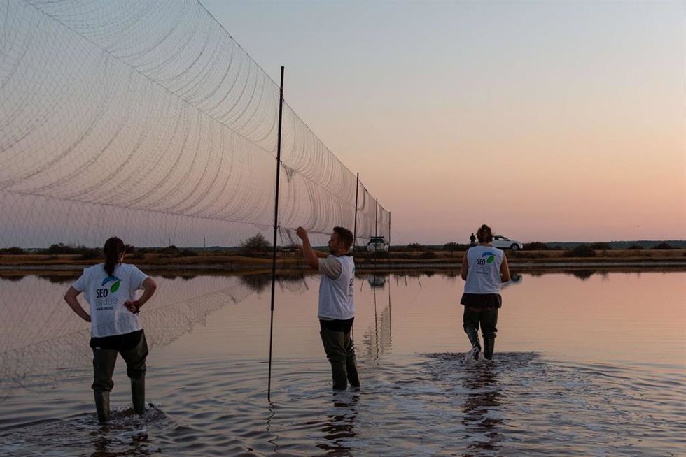 Voluntarios participantes en la última campaña de anillamiento de SEO/BirdLife.