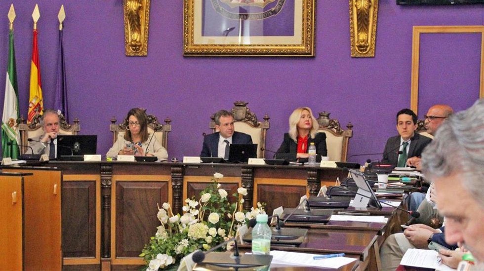 Imagen del pleno ordinario de este miércoles