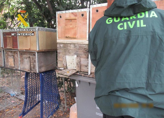Un agente de la Guardia Civil junto a cajones de vuelo para palomos deportivos