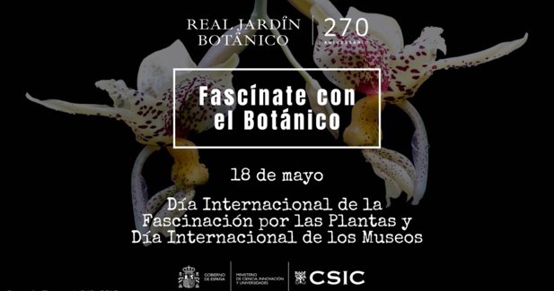 Medio Ambiente