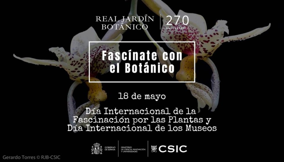 Divulgación científica y arte para celebrar el Día Internacional de la Fascinación por las Plantas y los Museos en el Real Jardín Botánico-CSIC