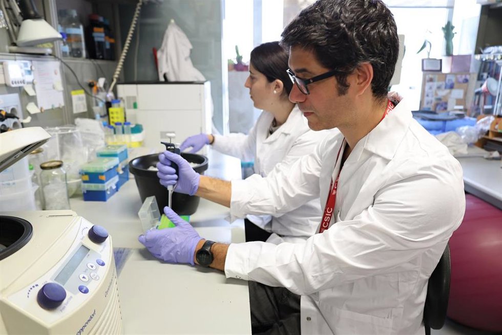 El equipo investigador en el laboratorio
