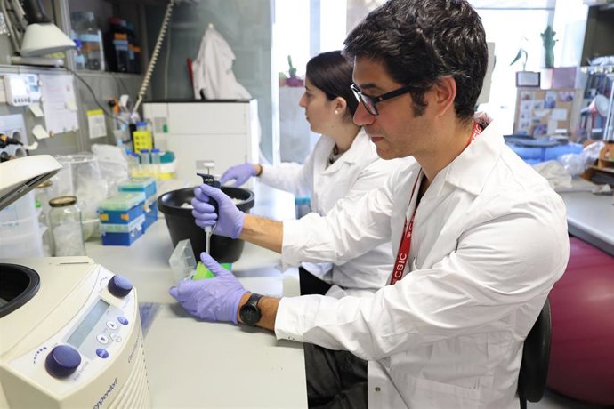 El equipo investigador en el laboratorio