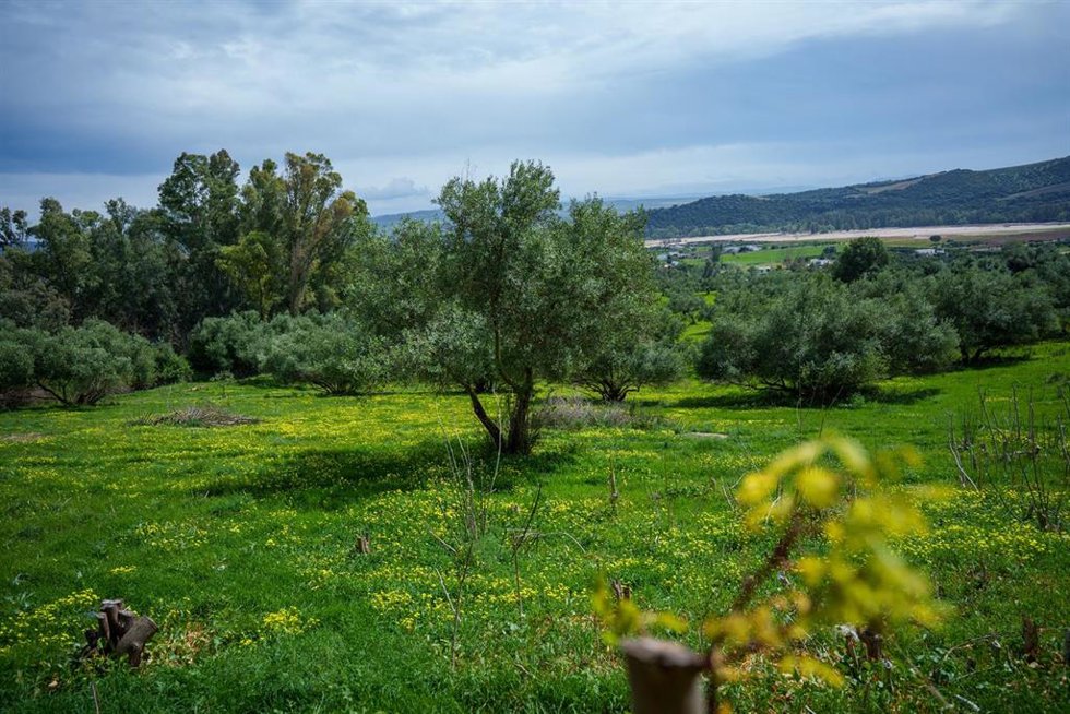 Archivo - La localidad gaditana de arcos de la Frontera 