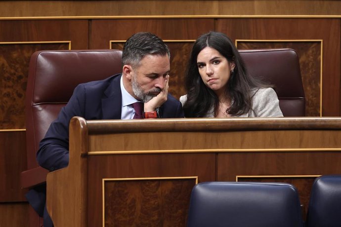 El presidente de Vox, Santiago Abascal, y la portavoz de Vox en el Congreso, Pepa Millán, durante un pleno en el Congreso de los Diputados, a 15 de abril de 2026, en Madrid (España).