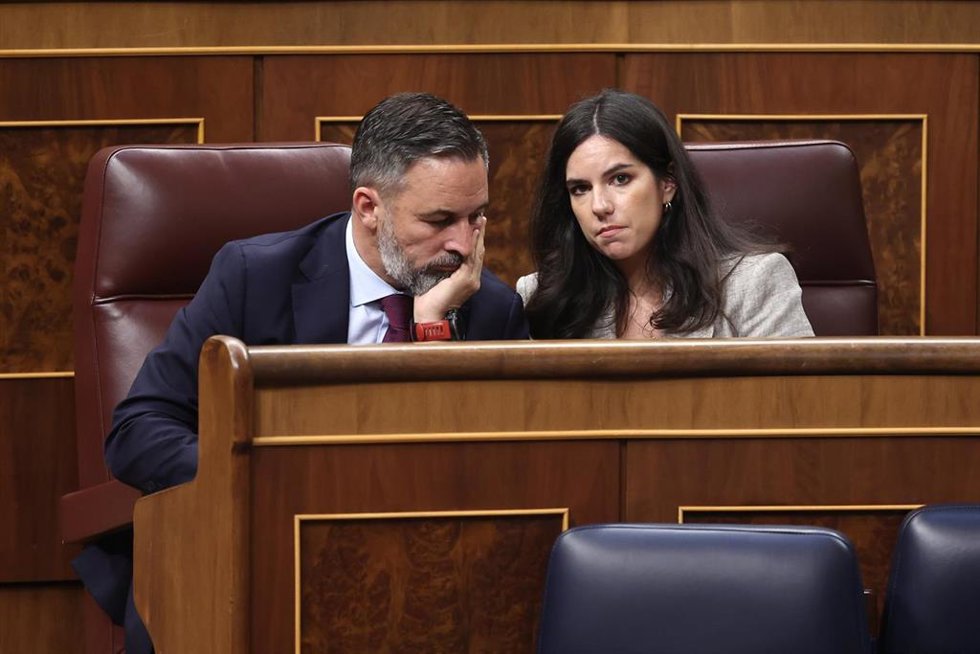 El presidente de Vox, Santiago Abascal, y la portavoz de Vox en el Congreso, Pepa Millán, durante un pleno en el Congreso de los Diputados, a 15 de abril de 2026, en Madrid (España).