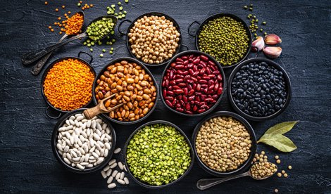 Nutrición