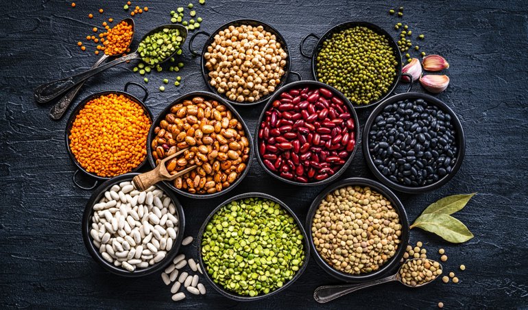 Nutrición