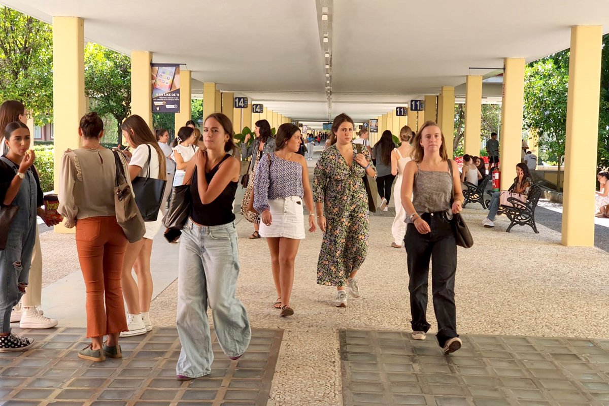 Abierto hasta el 15 de junio la solicitud de becas de la UPO de Sevilla para impulsar el talento femenino en STEM