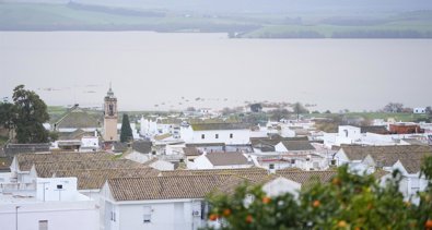 Federación Andaluza de Municipios y Provincias