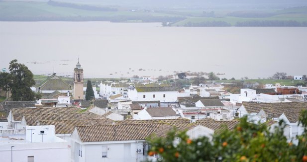 Federación Andaluza de Municipios y Provincias