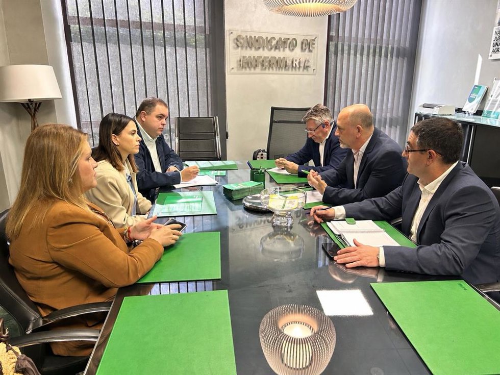 Reunión del PSOE con Satse