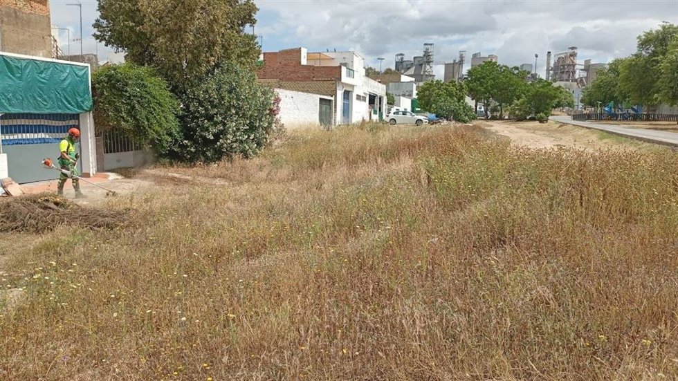 Imagen de la zona donde se acometen las tareas de desbroce.