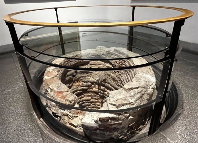 Pozo del Milagro en el Museo de San Isidro. Los Orígenes de Madrid