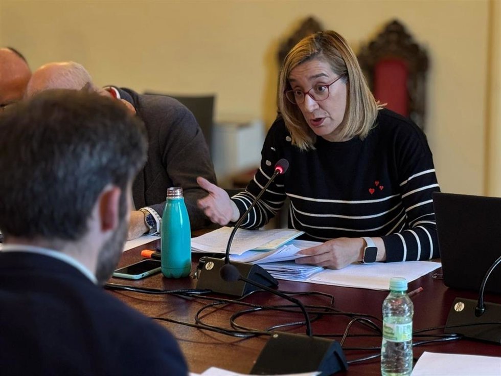 La portavoz de VTLP, Rocío Anguita