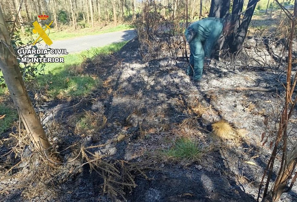 El Seprona investiga a cuatro personas como presuntos autores de incendios forestales en A Coruña.