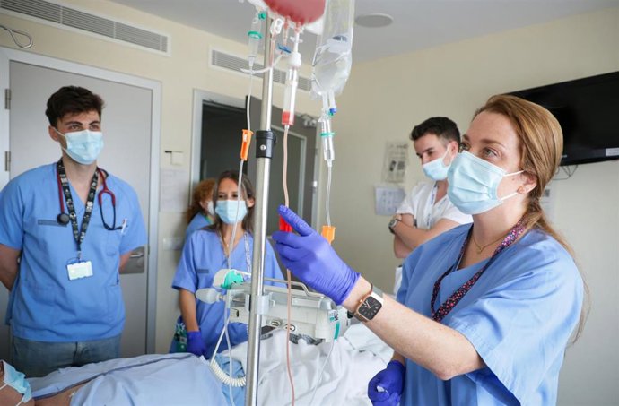 Archivo - El Hospital La Fe de València encabeza el ranking español de trasplantes de médula ósea, con 172 procedimientos.