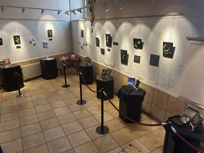 Exposición "Aprendiendo mirar. Un recorrido por el viñedo riojano naturalizado en arcilla"