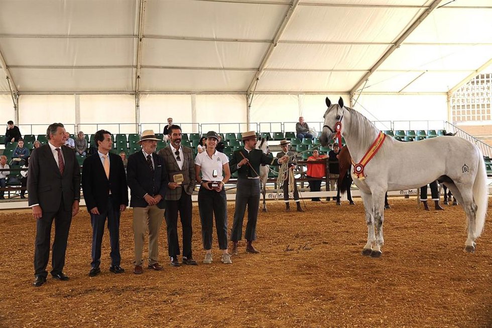 Imagen de las pruebas hípicas.