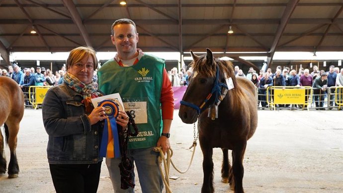 El Mercado Nacional de Ganado de Pola de Siero acoge el XII Concurso Regional de Ganado Equino de la Montaña.