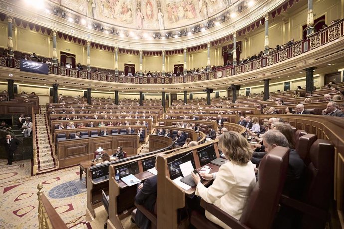 Una sesión plenaria en el Congreso de los Diputados