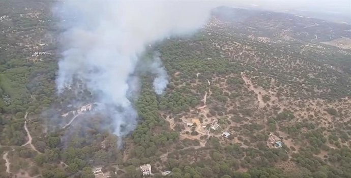 Archivo - Imagen de archivo del incendio ocurrido el pasado verano en el entorno de Las Viñas.