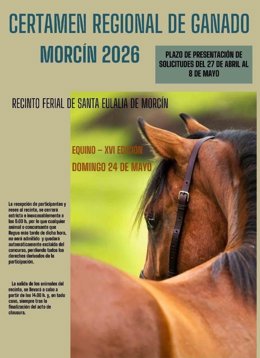 Morcín acogerá el 24 de mayo el XVI Certamen Regional de Ganado Equino con capacidad para 80 ejemplares.