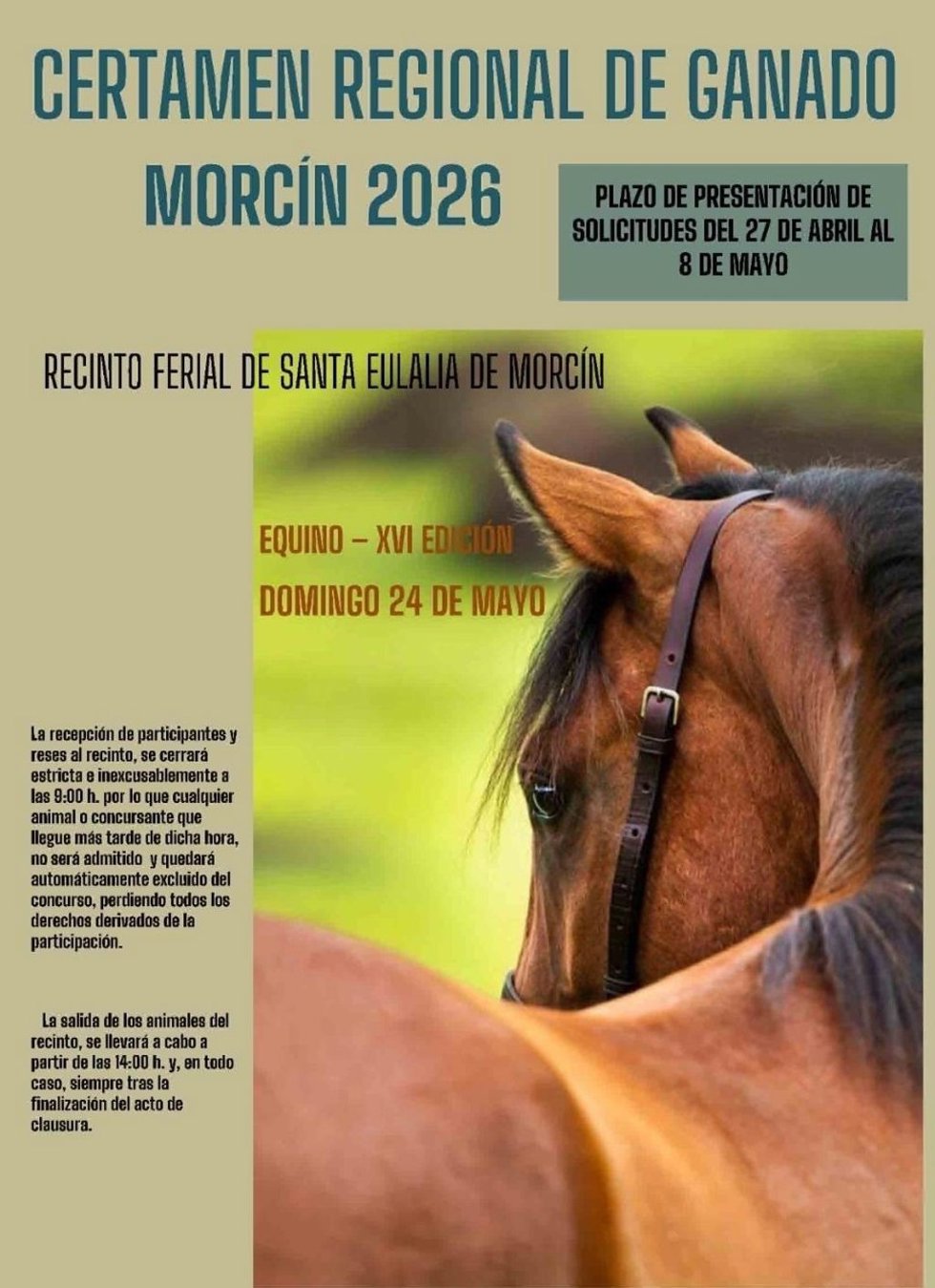 Morcín acogerá el 24 de mayo el XVI Certamen Regional de Ganado Equino con capacidad para 80 ejemplares.